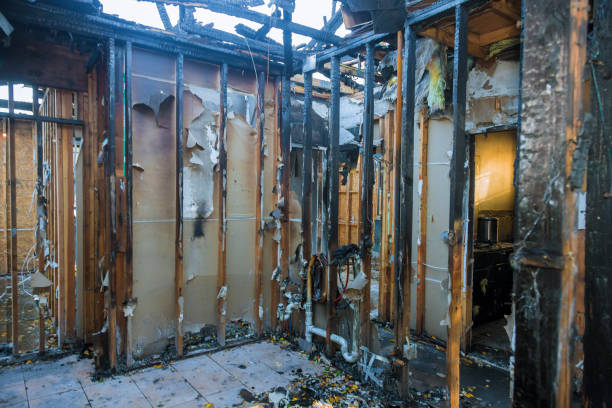 Professional Fire Damage Removal technician working in Livingston, TN